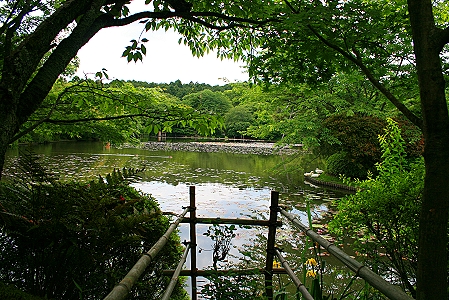 Blick auf den wunderschönen Kyoyochi Teich