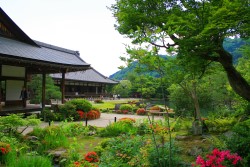 Tenryu-ji-Tempel in Kyoto