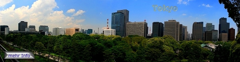 Panorama von Tokyo
