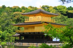 Kinkaku-ji Goldener Pavillon