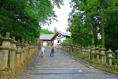 3000 Steinlaternen stehen am Weg zum Kasuga-Schrein