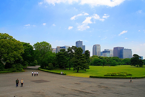 Kitanomaru-Park, ein beliebter Platz für Picknick