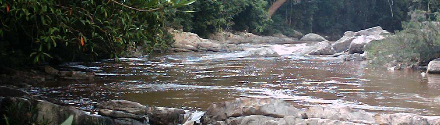 Cameron Highland