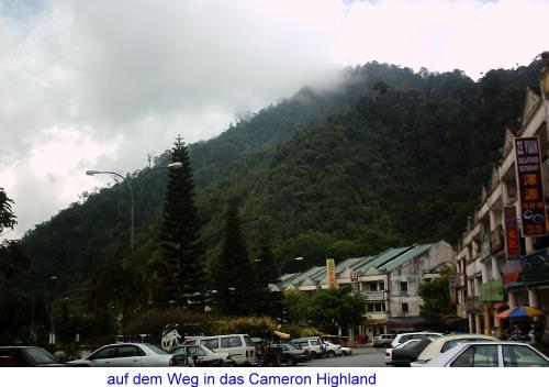 auf dem Weg in das Cameron-Highland