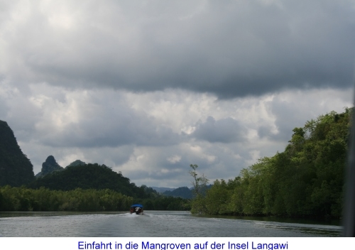 Einfahrt in die Mangroven der Insel Langkawi