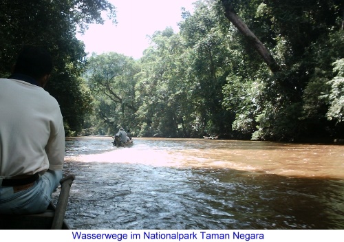 Wasserwege im Nationalpark Taman Negara