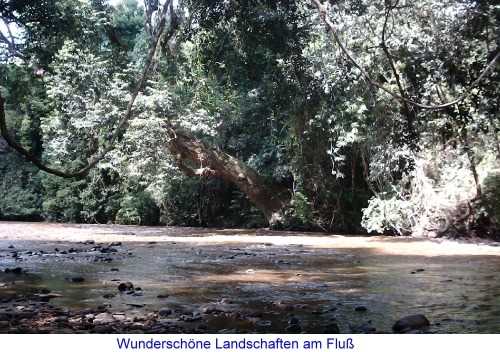 wunderschne Landschaften am Flu