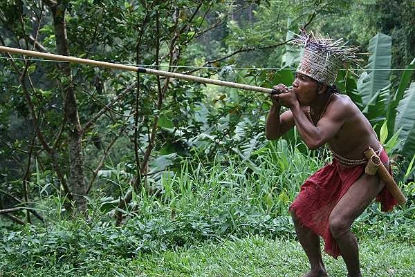 Bei den Orang Asli in Cameron Highlands