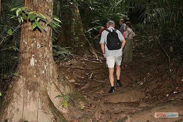 Treckingtour durch den Dschungel