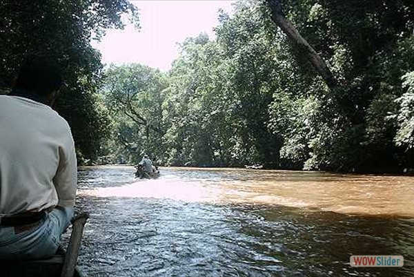 Wasserwege im Nationalpark Taman Negara