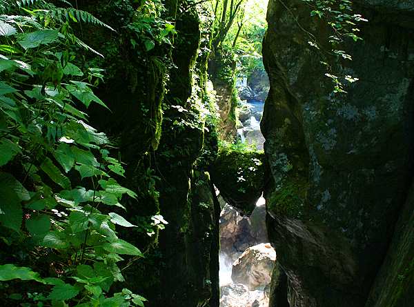 Bärenkopf in der Zadlascia Schlucht